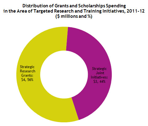 Distribution of Grants and Scholarships Spending in the Area of Targeted Research and Training Initiatives, 2011-12