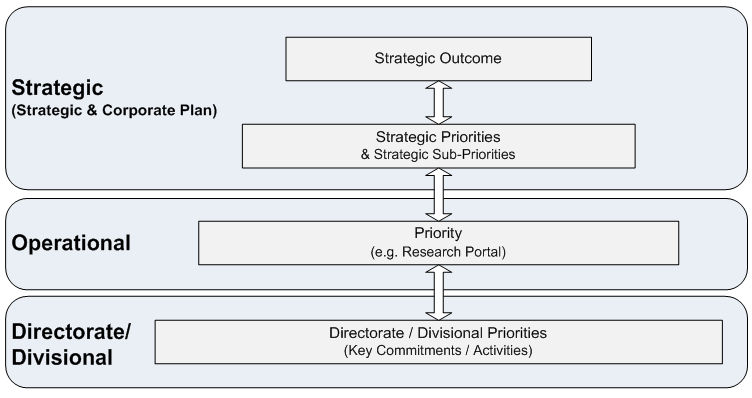 Figure 1.1 Levels of Organizational Priorities