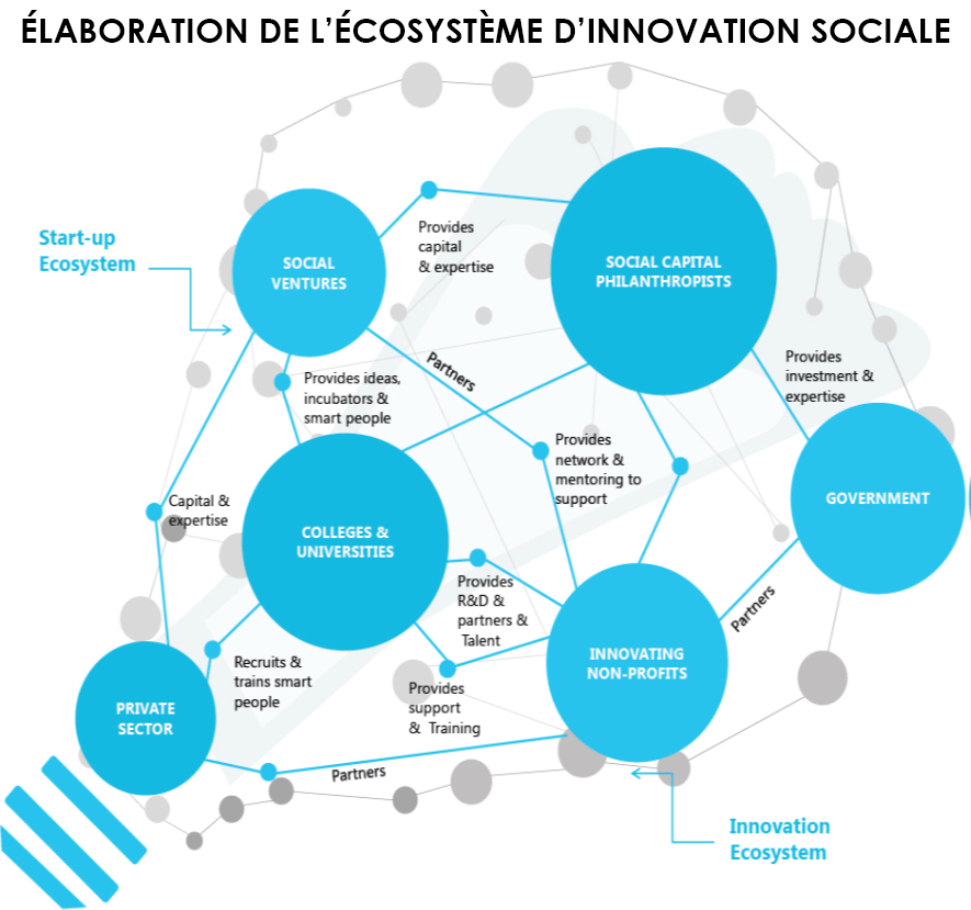 Infographique : Élaboration de l’écosystème d’innovation sociale