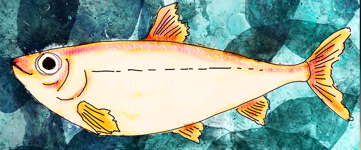 drawing of a gold-coloured fish against a teal background