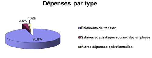 Dépenses par type : Paiements de transfer, Salaries et avantages sociaux des employés et Autres dépenses opérationnelles